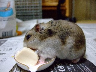 '08 blog用 0093.jpg