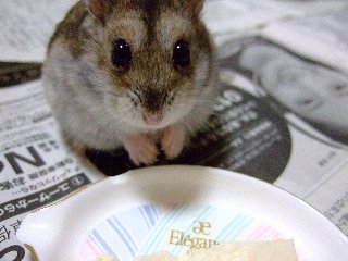 '08 blog用 0096.jpg