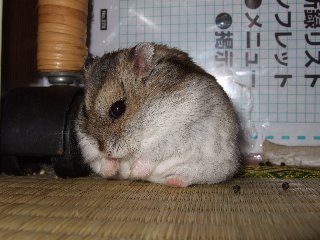 '08 blog用 0109.jpg