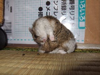 '08 blog用 0110.jpg