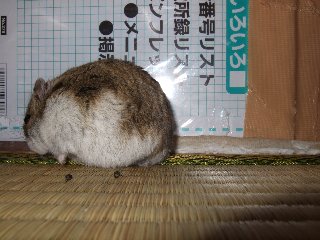 '08 blog用 0111.jpg