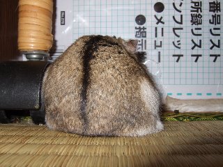 '08 blog用 0112.jpg