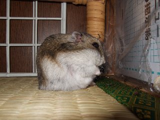 '08 blog用 0113.jpg