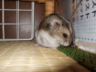 '08 blog用 0114.jpg