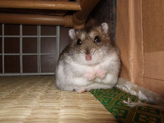 '08 blog用 0115.jpg