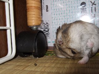 '08 blog用 0116.jpg