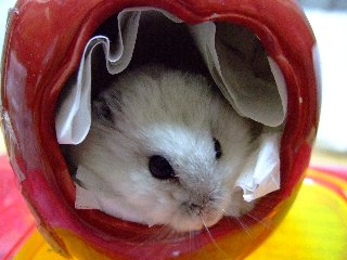 '08 blog用 0117.jpg