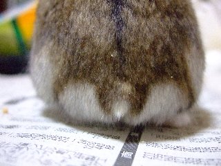 '08 blog用 0121.jpg