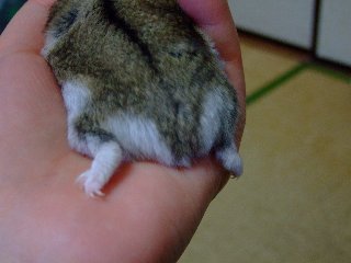 '08 blog用 0139.jpg