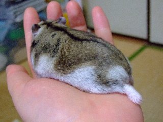 '08 blog用 0141.jpg