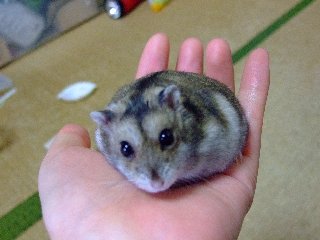 '08 blog用 0142.jpg
