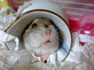 '08 blog用 0151.jpg
