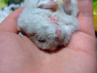 '08 blog用 0153.jpg