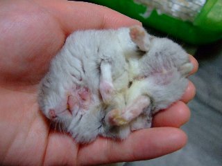 '08 blog用 0154.jpg