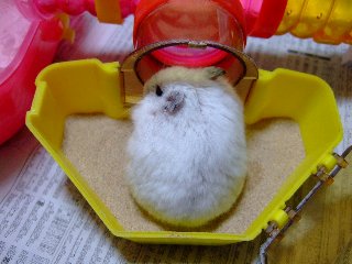 '08 blog用 0157.jpg