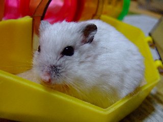 '08 blog用 0158.jpg