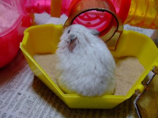 '08 blog用 0160.jpg