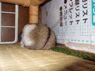 '08 blog用 0161.jpg