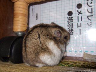'08 blog用 0163.jpg