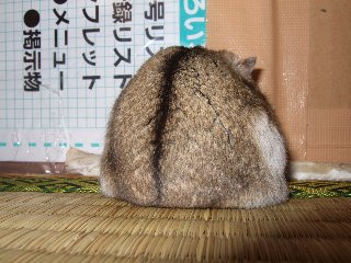 '08 blog用 0164.jpg
