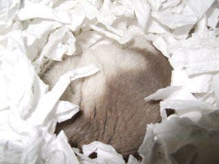 '08 blog用 0165.jpg