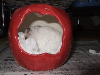 '08 blog用 0171.jpg