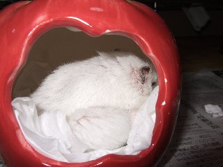 '08 blog用 0172.jpg