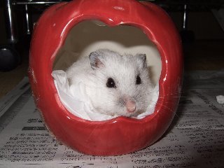 '08 blog用 0173.jpg