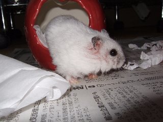 '08 blog用 0174.jpg