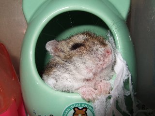 '08 blog用 0176.jpg