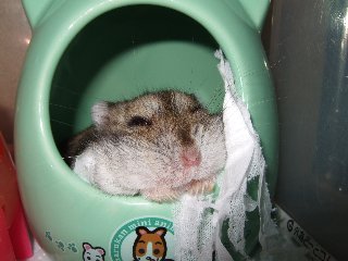 '08 blog用 0177.jpg