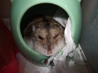 '08 blog用 0181.jpg