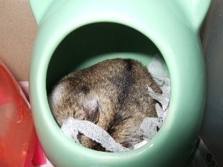 '08 blog用 0185.jpg