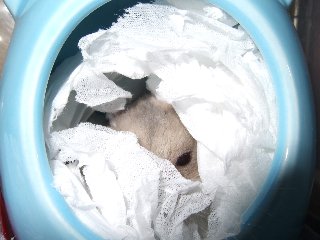 '08 blog用 0189.jpg