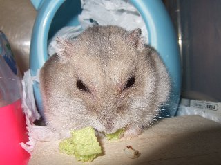 '08 blog用 0192.jpg