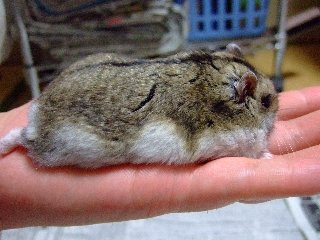 '08 blog用 0203.jpg