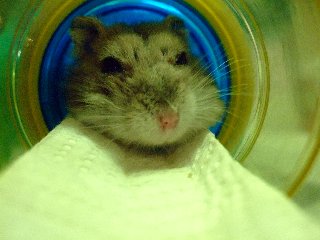 '08 blog用 0208.jpg
