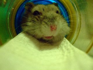 '08 blog用 0209.jpg