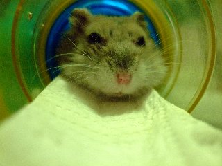 '08 blog用 0210.jpg