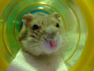 '08 blog用 0211.jpg