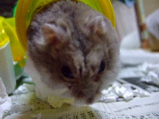 '08 blog用 0212.jpg