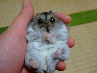 '08 blog用 0214.jpg