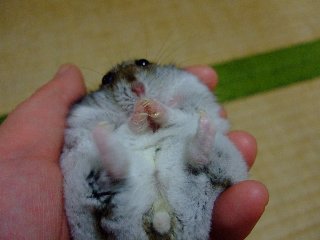 '08 blog用 0215.jpg