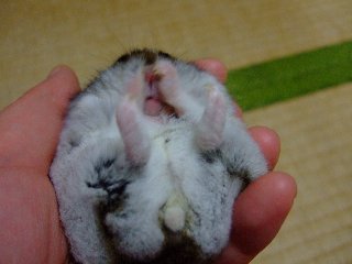 '08 blog用 0216.jpg