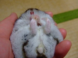 '08 blog用 0217.jpg
