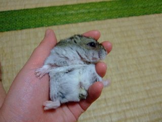 '08 blog用 0218.jpg