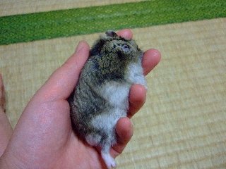 '08 blog用 0219.jpg