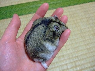 '08 blog用 0220.jpg
