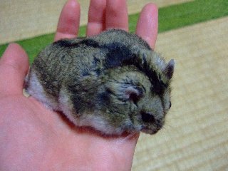 '08 blog用 0221.jpg