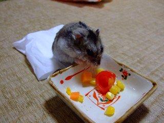 '08 blog用 0222.jpg